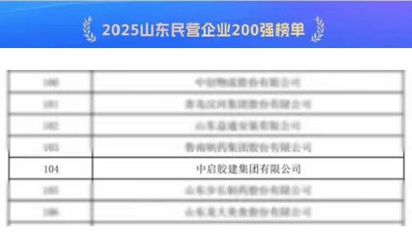 喜報！公司榮登“2025山東民營企業(yè)200強榜單”